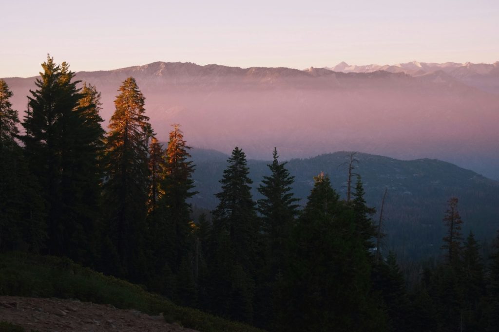 Foto einer Berglandschaft mit Wald als Symbolbild für Wingwave Coaching in Berlin